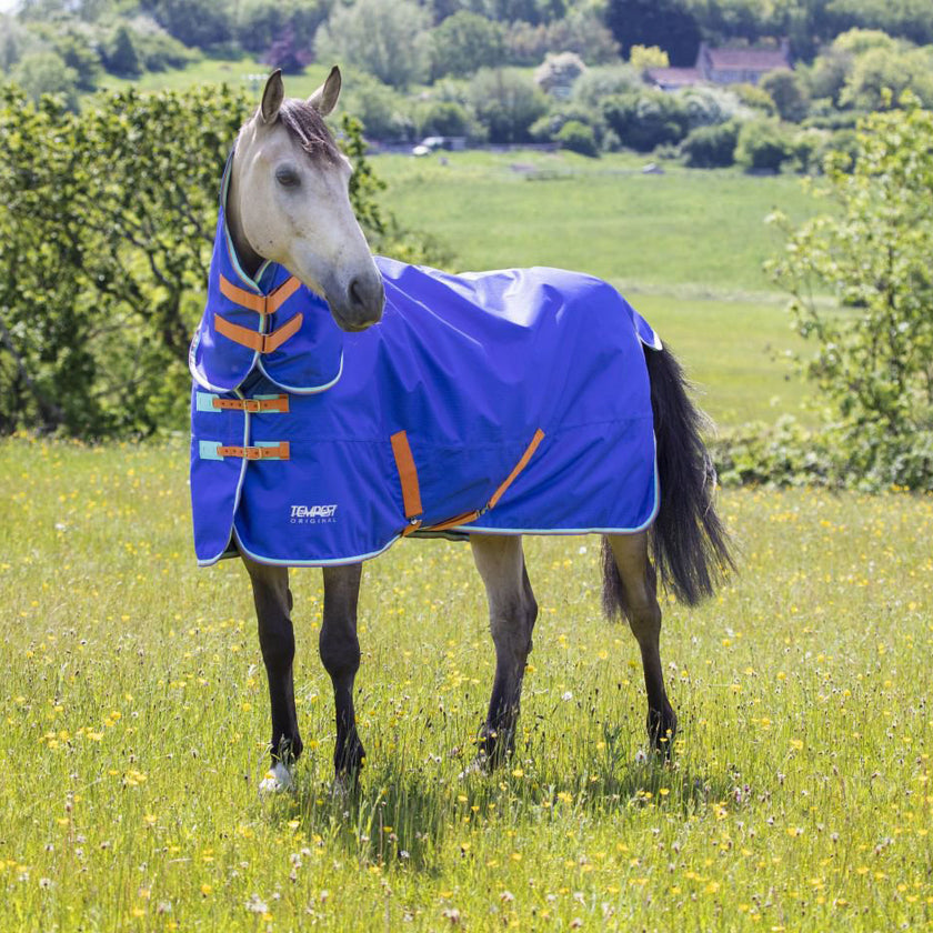 Tempest Original by Shires Manta de Invierno Turnout 50 Combo Royal