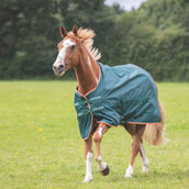 Tempest Original by Shires Manta de Establo Typhoon Lite Verde