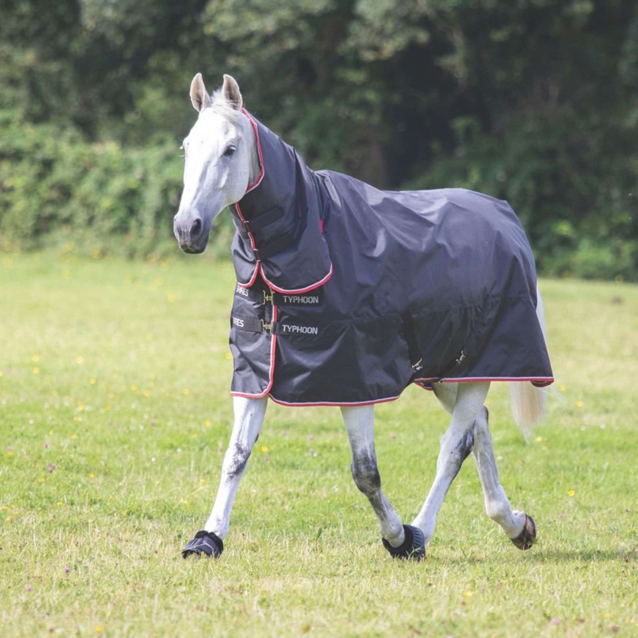 Tempest Original by Shires Turnout Typhoon Combo 200g Negro