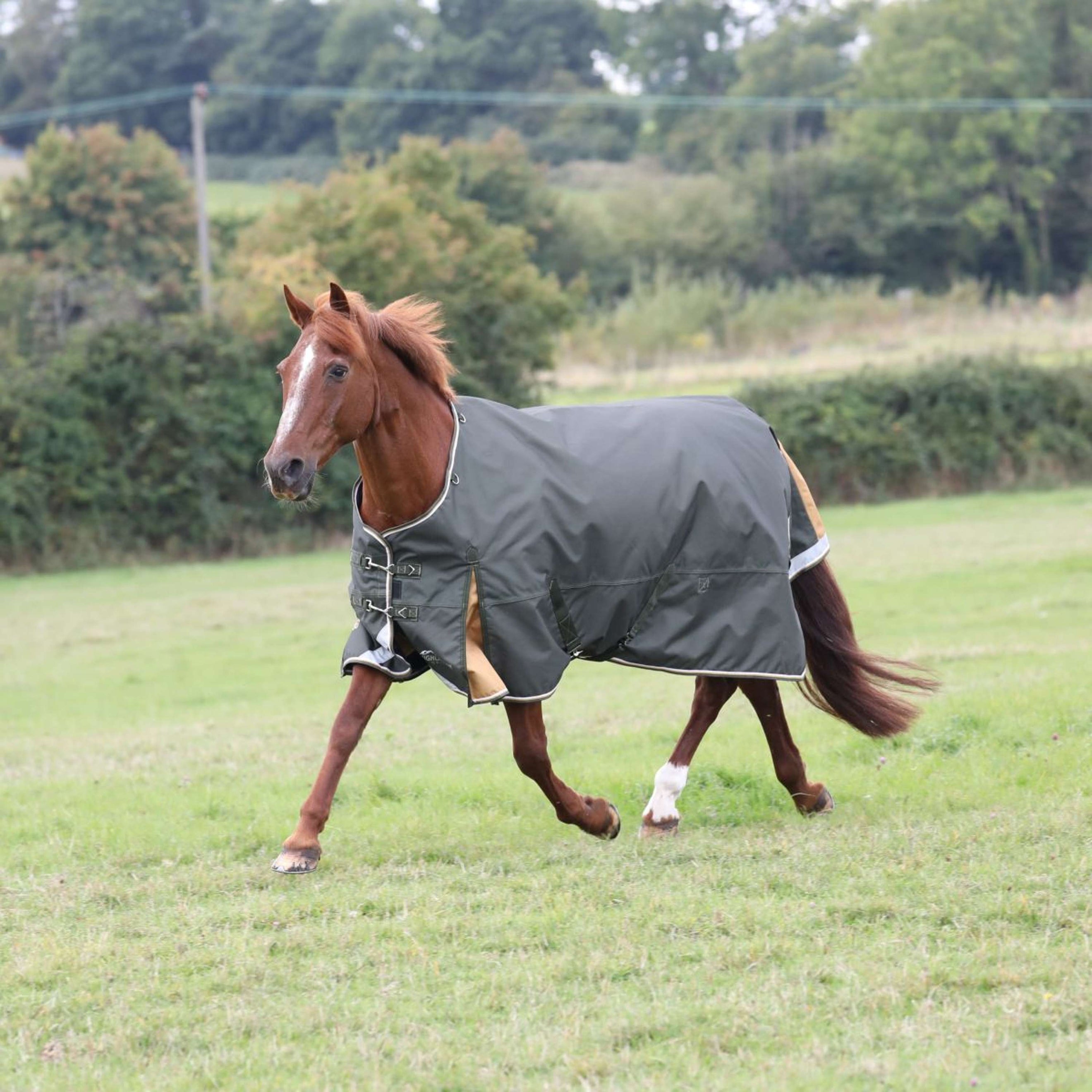 Highlander Plus by Shires Turnout Rug 50g Verde Highlander Plus by Shires Turnout Rug 50g Verde