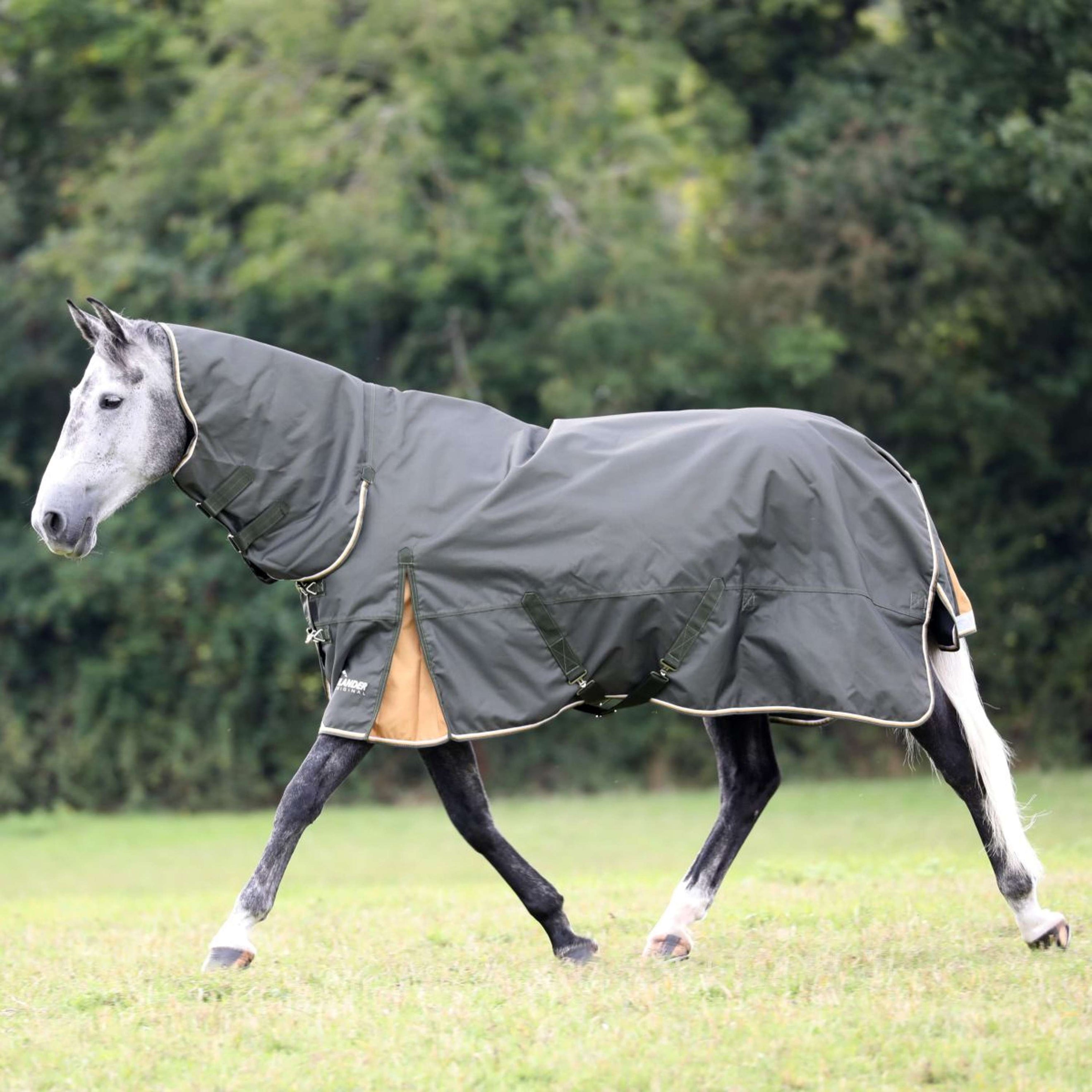 Highlander Plus by Shires Manta de Invierno Combo 50g Verde Highlander Plus by Shires Manta de Invierno Combo 50g Verde