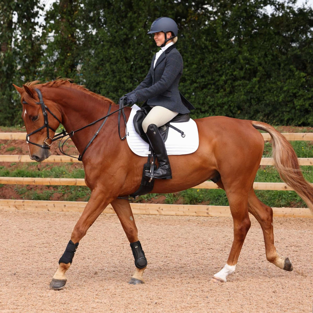 Aubrion by Shires Chaqueta de Competición Saratoga Juniper Navy Check