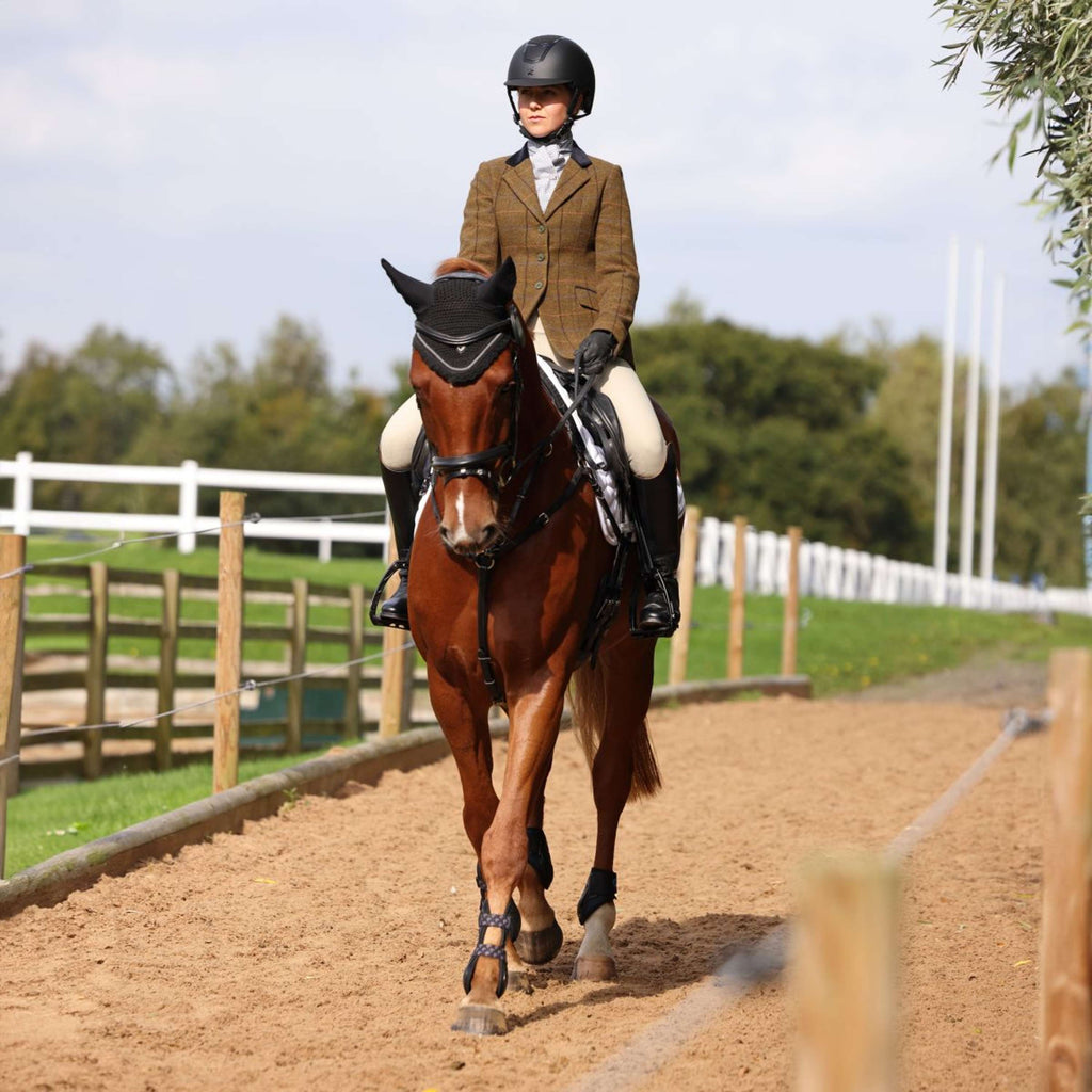 Aubrion by Shires Chaqueta de Competición Saratoga Marron Roble Check
