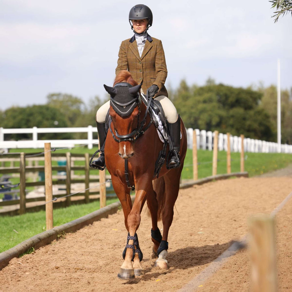 Aubrion by Shires Chaqueta de Competición Saratoga Marron Roble Check