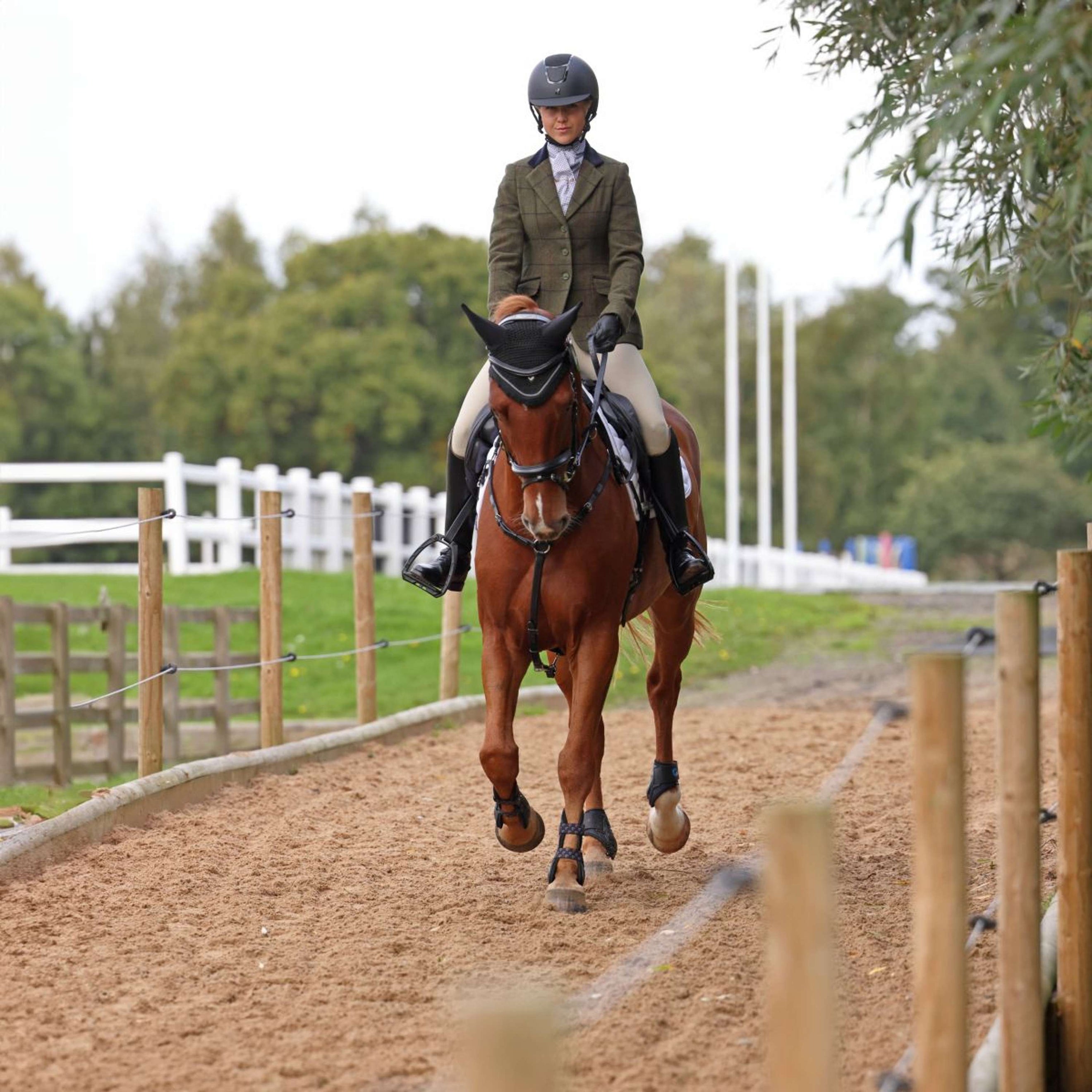 Aubrion by Shires Chaqueta de Competición Saratoga Spruce Verde Check Aubrion by Shires Chaqueta de Competición Saratoga Spruce Verde Check