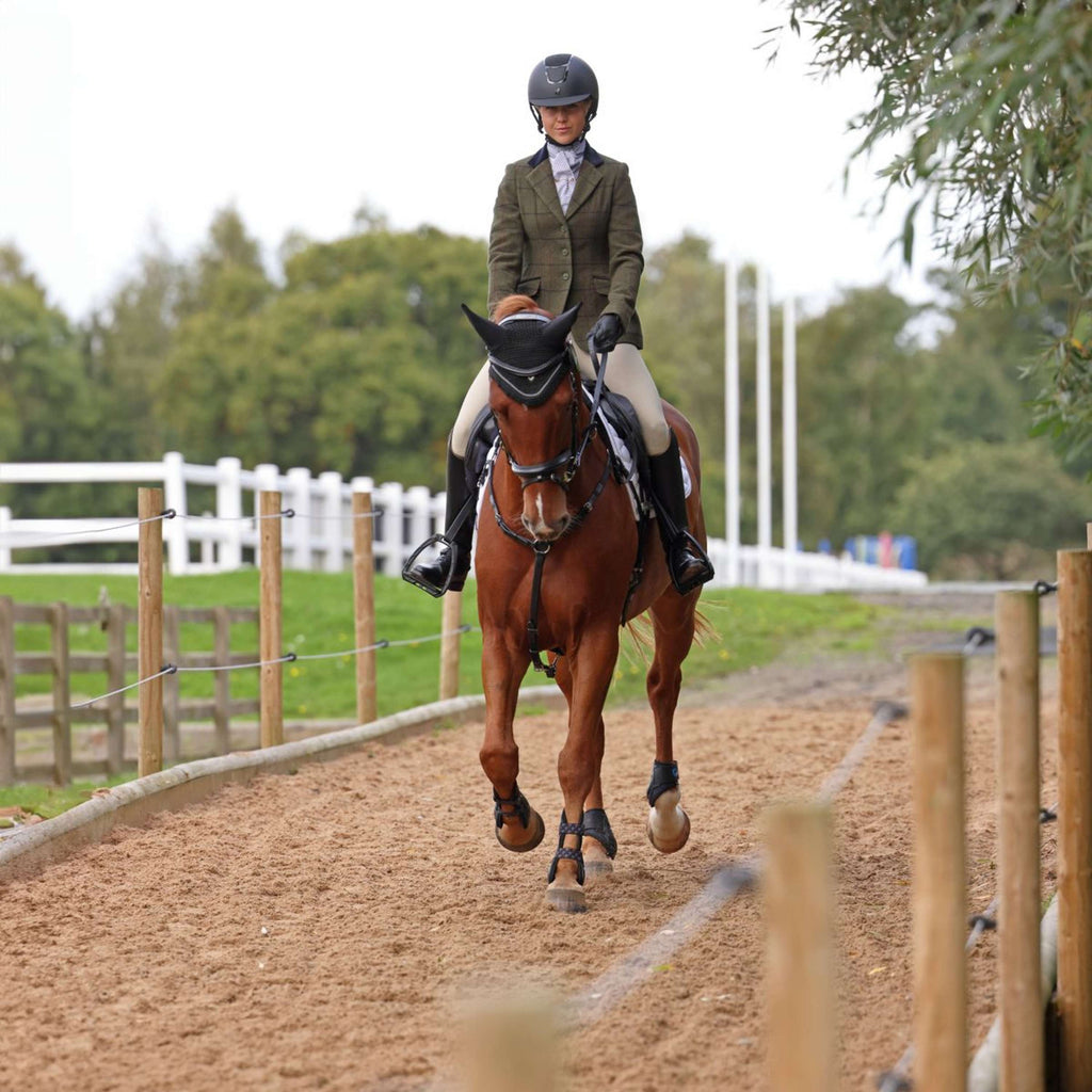 Aubrion by Shires Chaqueta de Competición Saratoga Spruce Verde Check