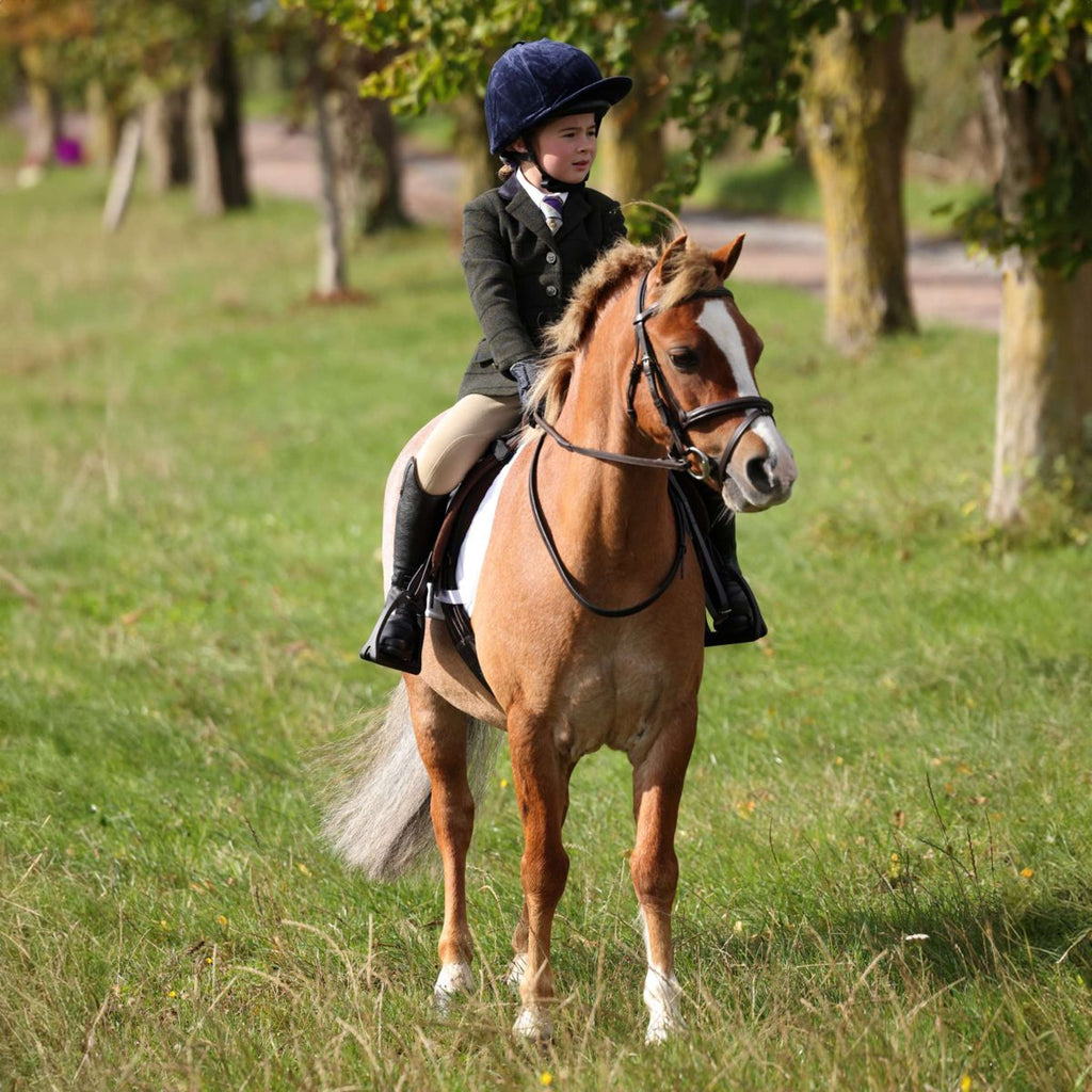 Aubrion by Shires Chaqueta de Competición Saratoga Niños Verde Oscuro Check