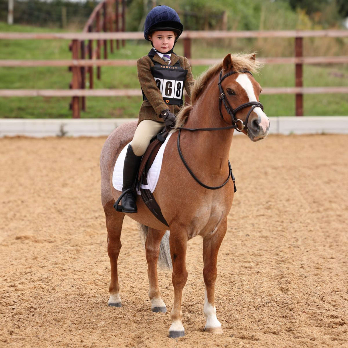 Aubrion by Shires Chaqueta de Competición Saratoga Niños Oxido Check