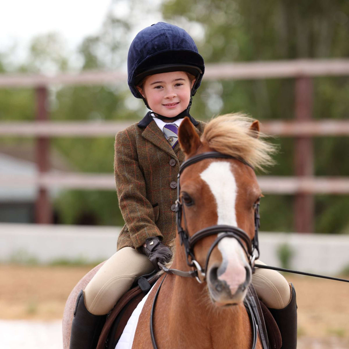 Aubrion by Shires Chaqueta de Competición Saratoga Niños Oxido Check