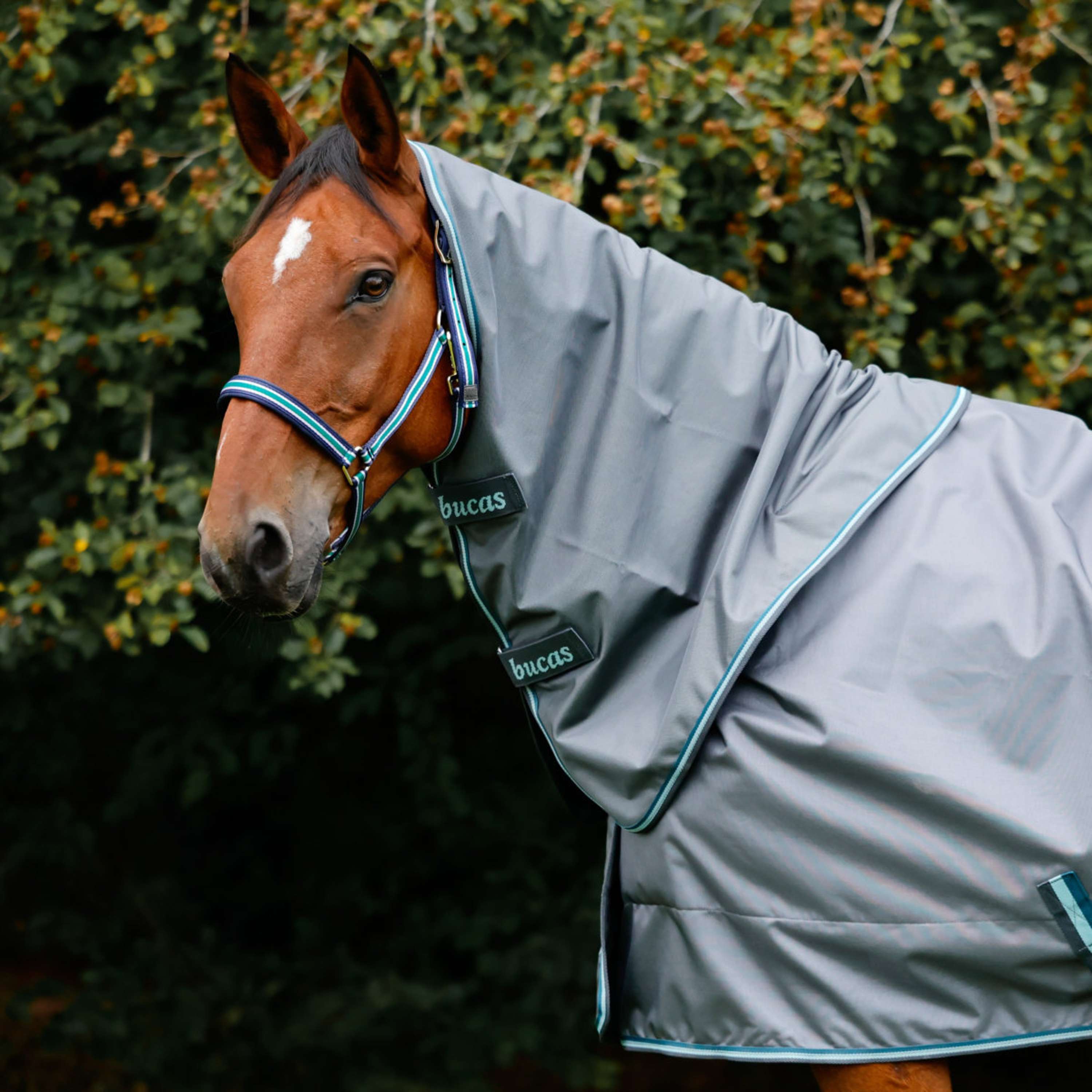 Bucas Cubrecuellos Smartex Iron Gate/Teal