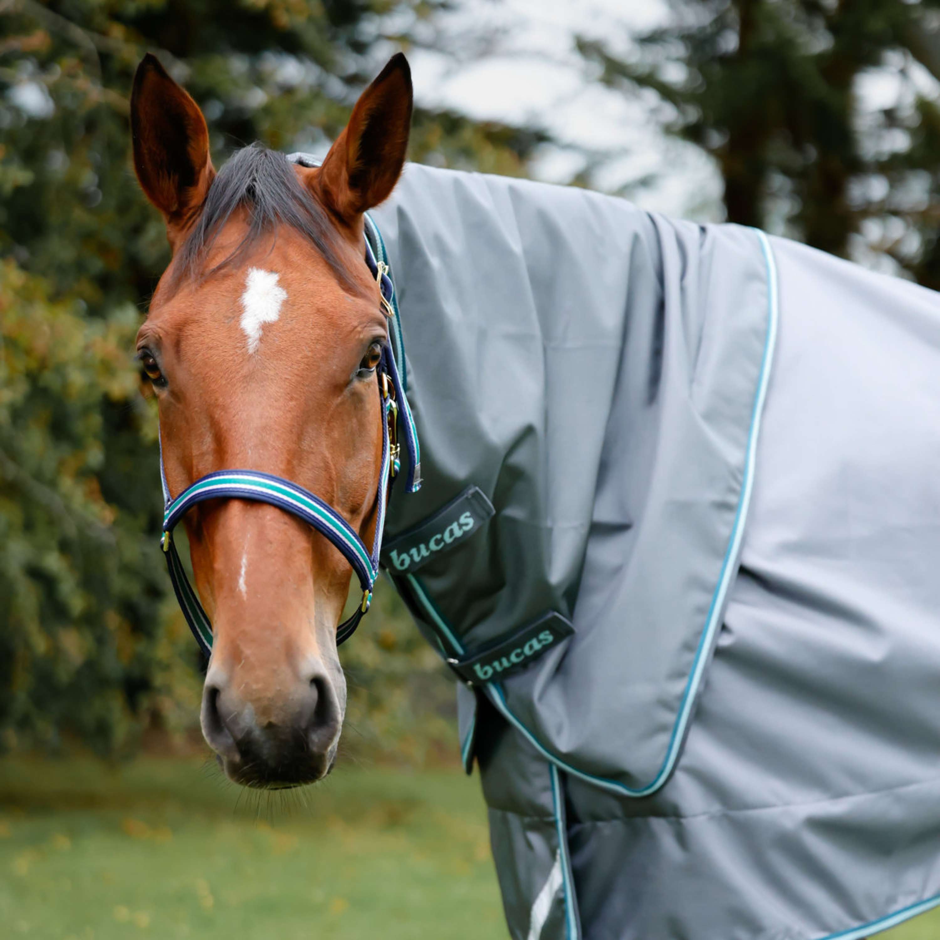 Bucas Cubrecuellos Smartex Iron Gate/Teal