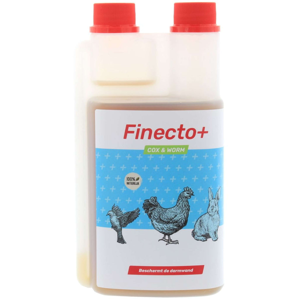 Finecto Cox y gusano