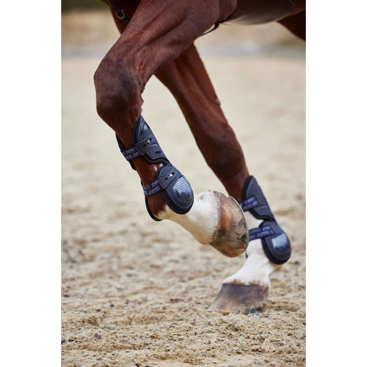 Stübben Botas para Tendones Hybrid Carbon Negro