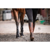 Stübben Set de Compresión Patas delanteras