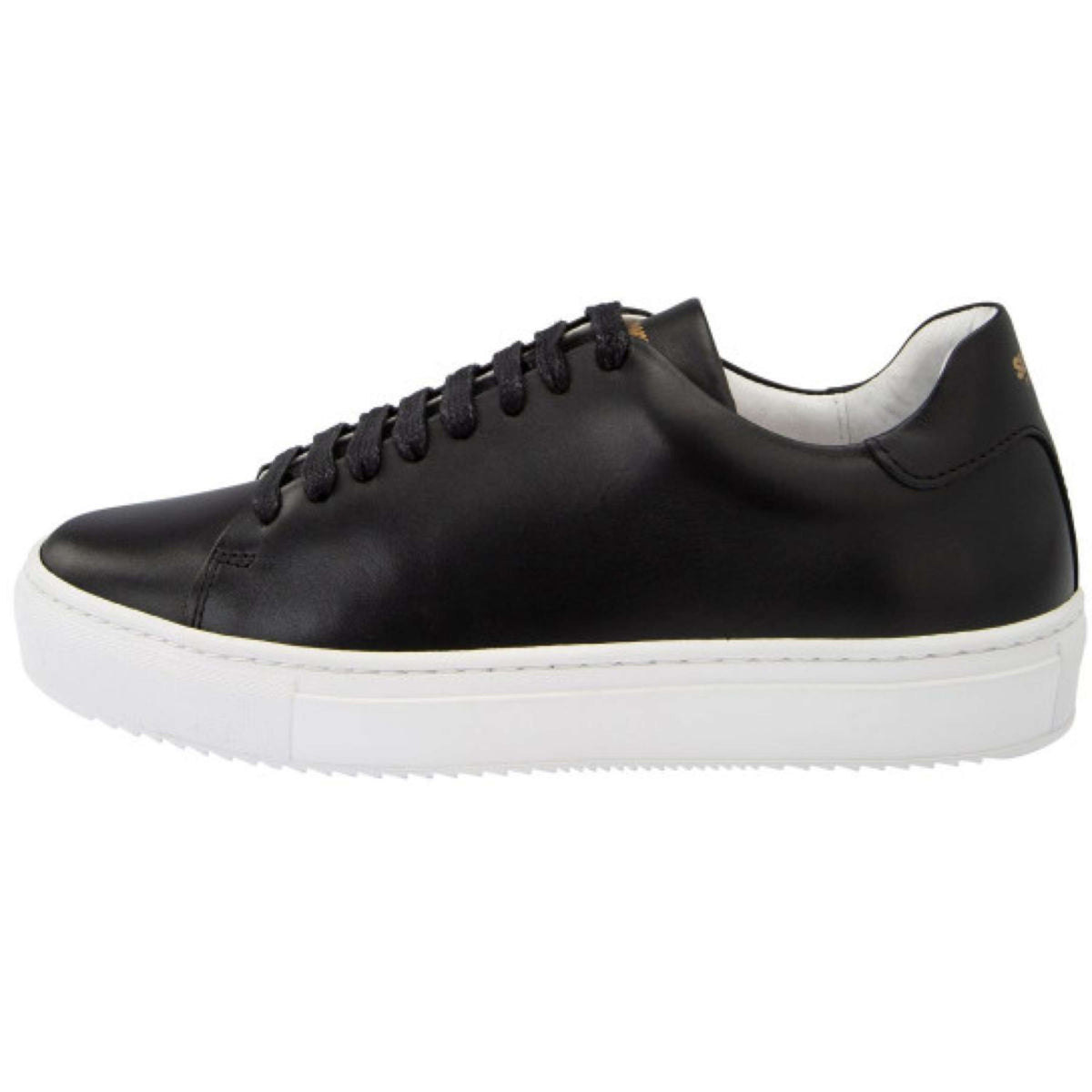 Suedwind Zapatillas Ashton Negro