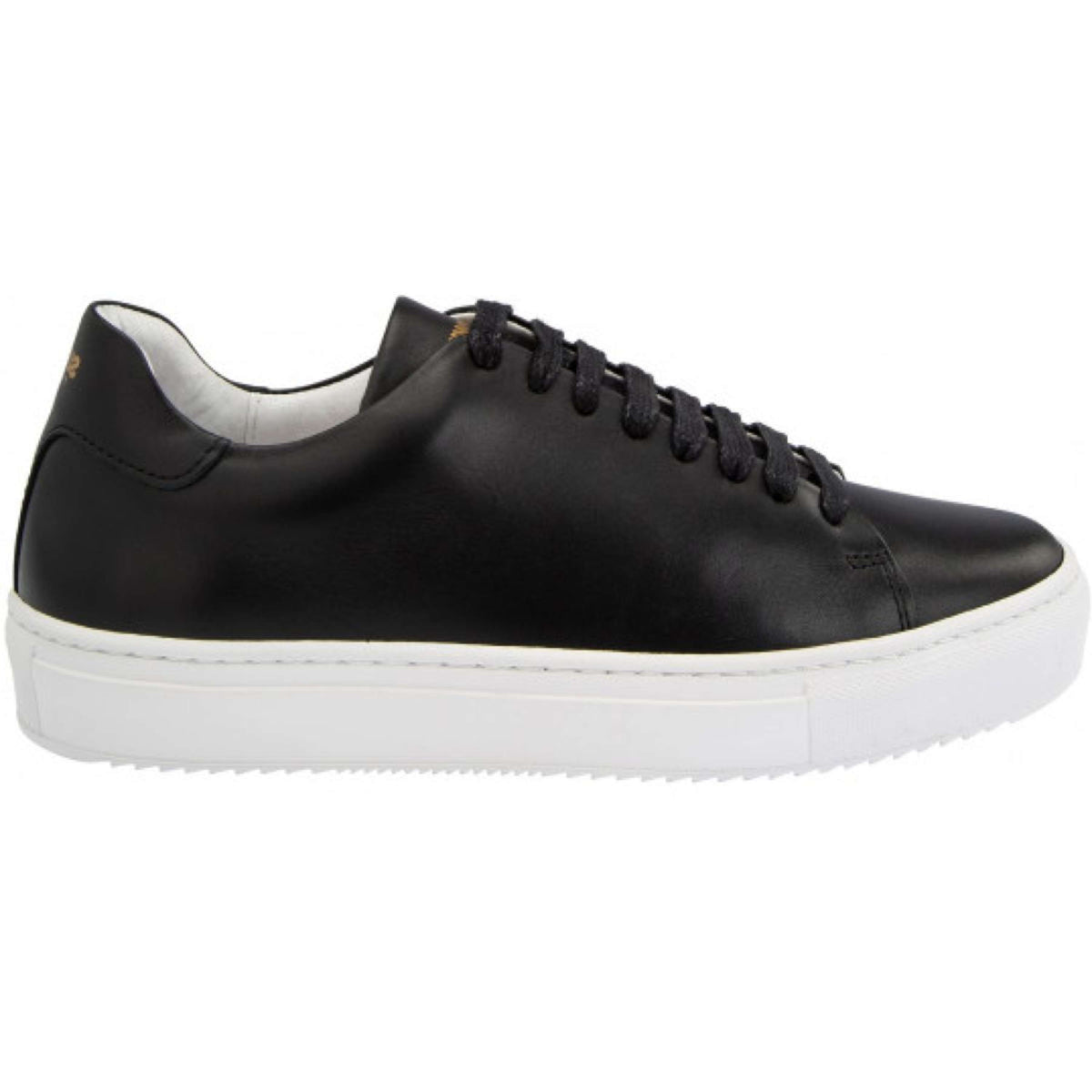 Suedwind Zapatillas Ashton Negro