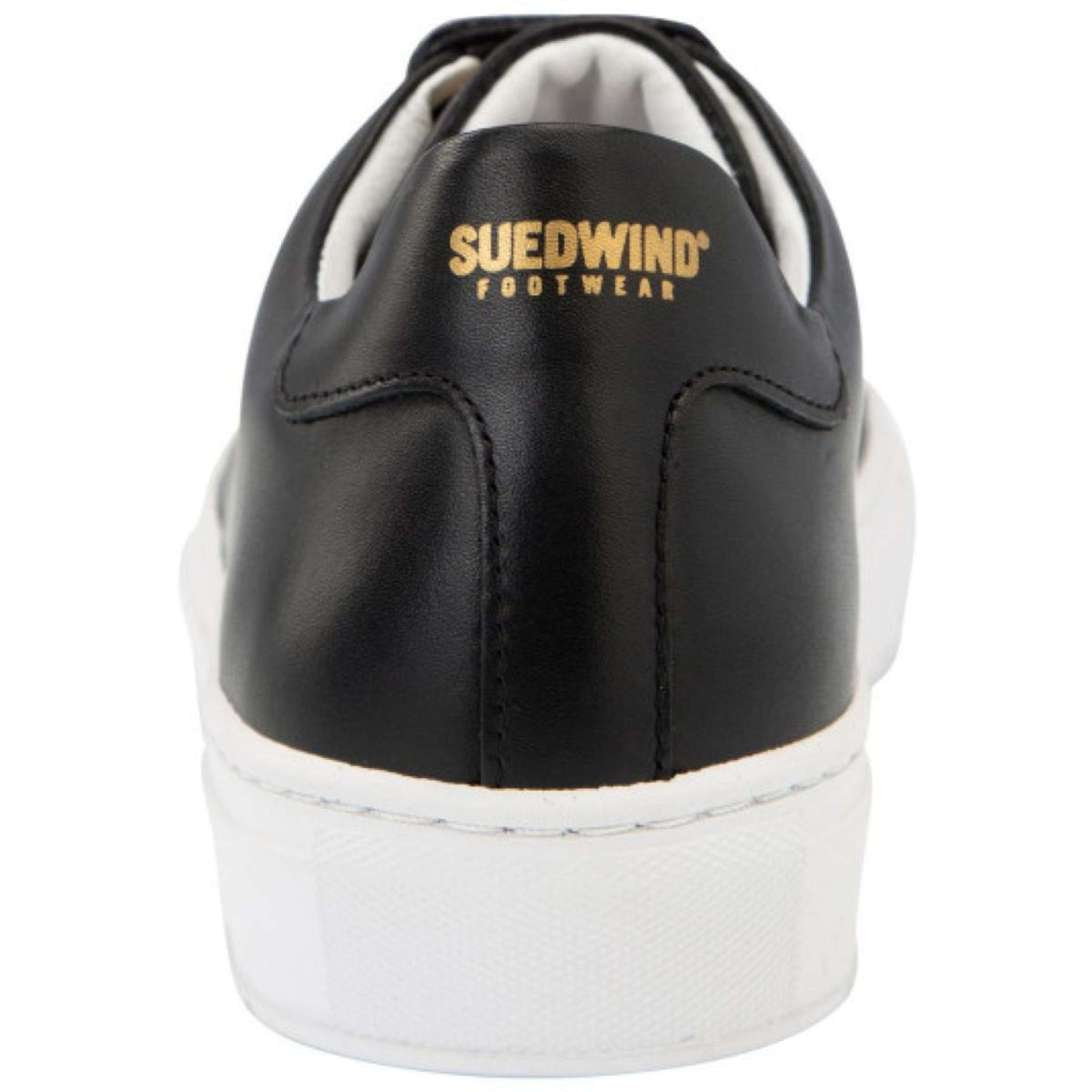 Suedwind Zapatillas Ashton Negro