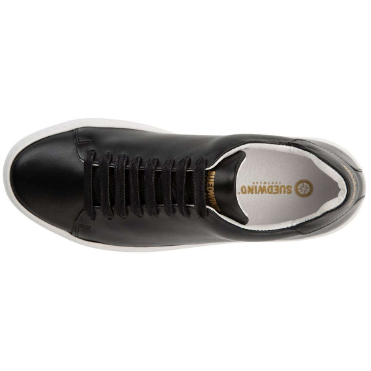Suedwind Zapatillas Ashton Negro