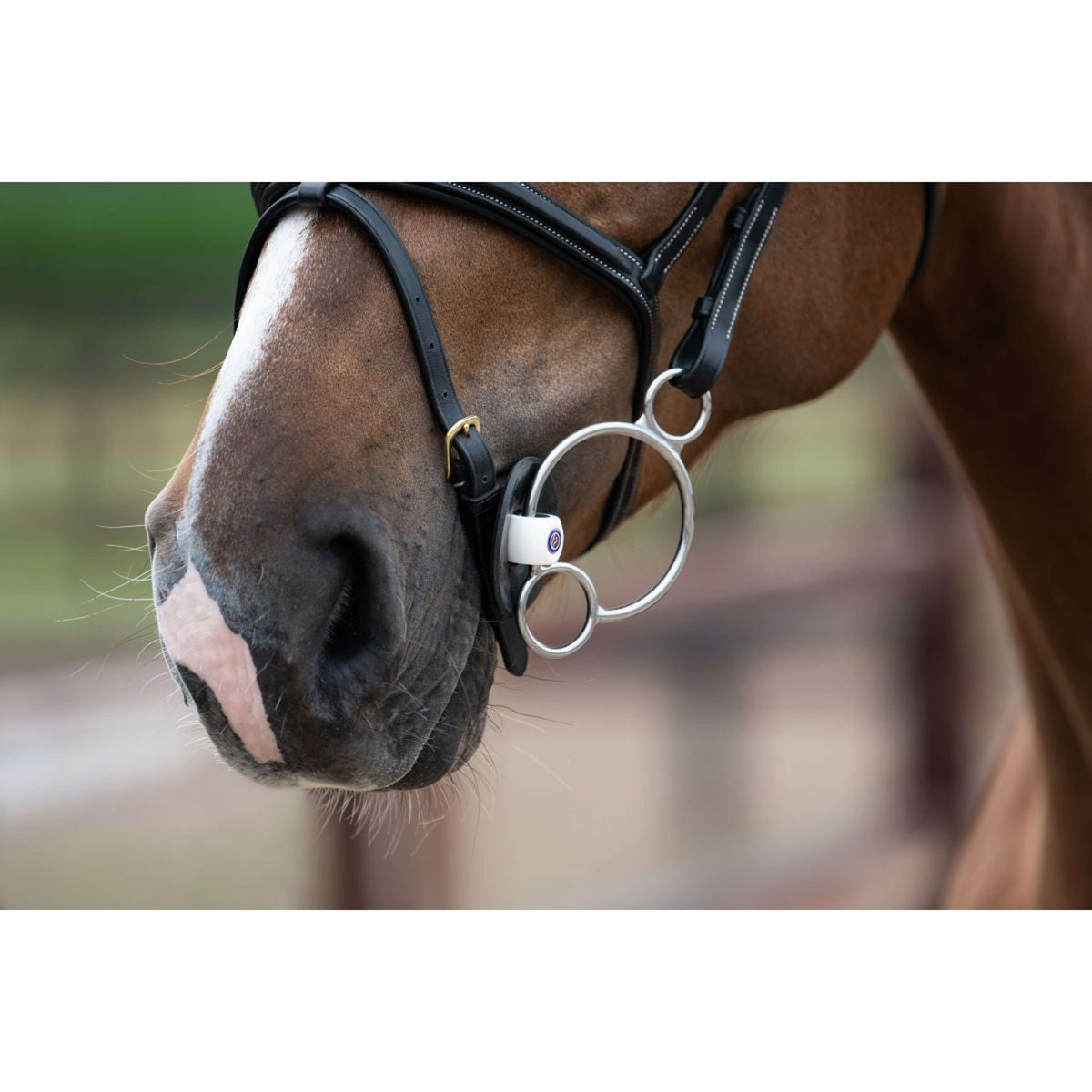 Trust Bocado Inno Sense 2,5 Ring Port Medium 20mm