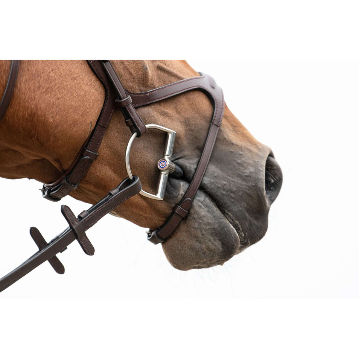 Trust D-Mordaza Sweet Iron