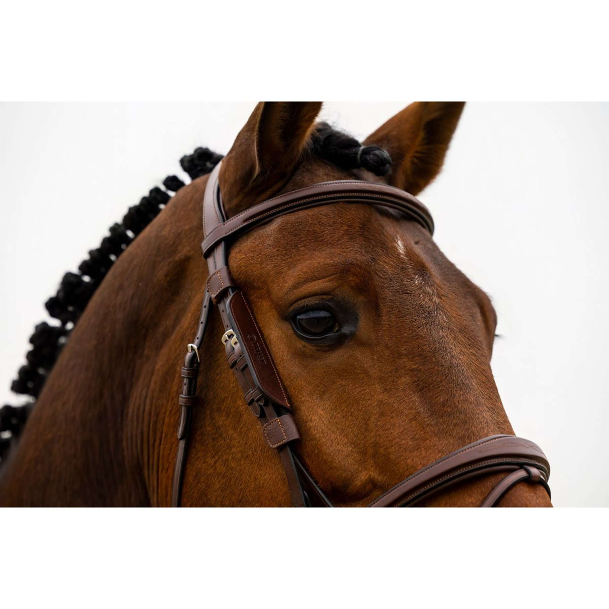 Trust Parpadeador Marron