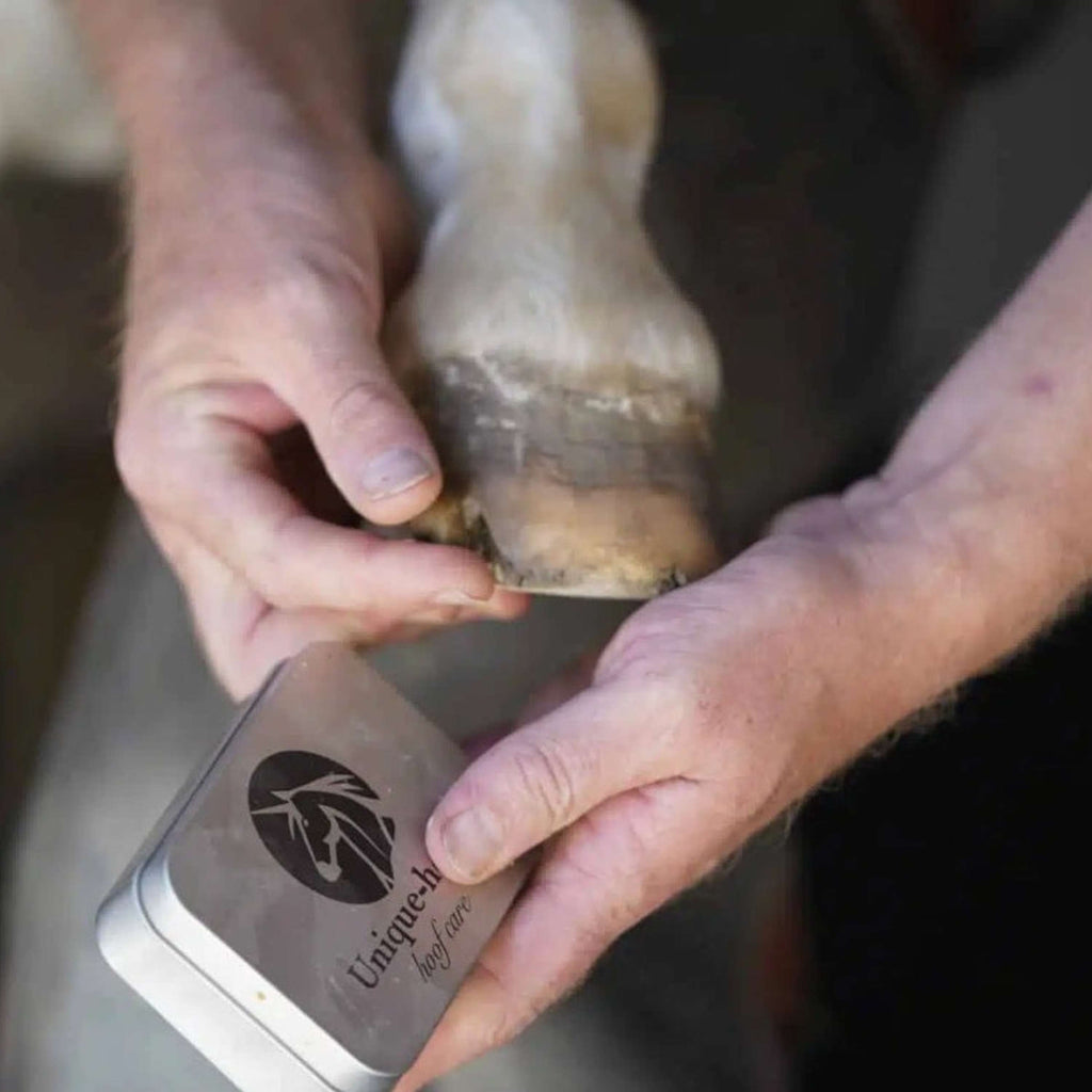Unique-horn Hoof Wax Repair Amarillo