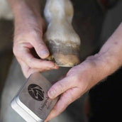 Unique-horn Hoof Wax Repair Amarillo