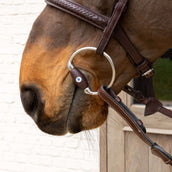 Velari Bocado busto Flex Hard 20mm