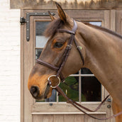 Velari Bocado busto Flex Hard 20mm