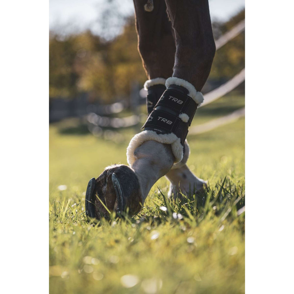 Veredus Protectores de piernas TRB Save the Sheep Front Negro