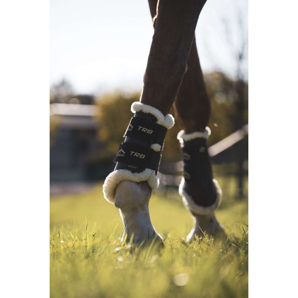Veredus Protectores de piernas TRB Save the Sheep Front Negro