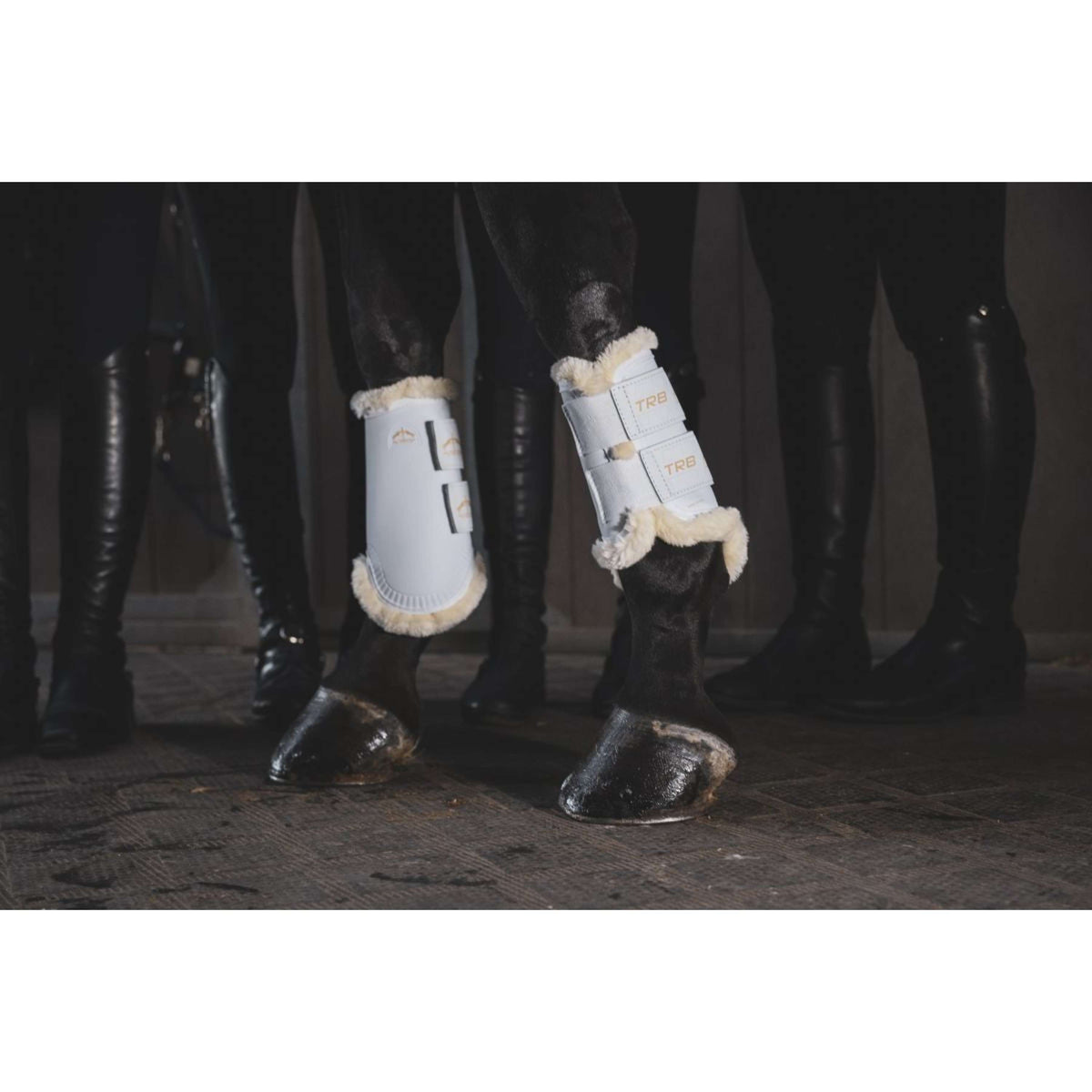 Veredus Protectores de piernas TRB Save the Sheep Rear Wit