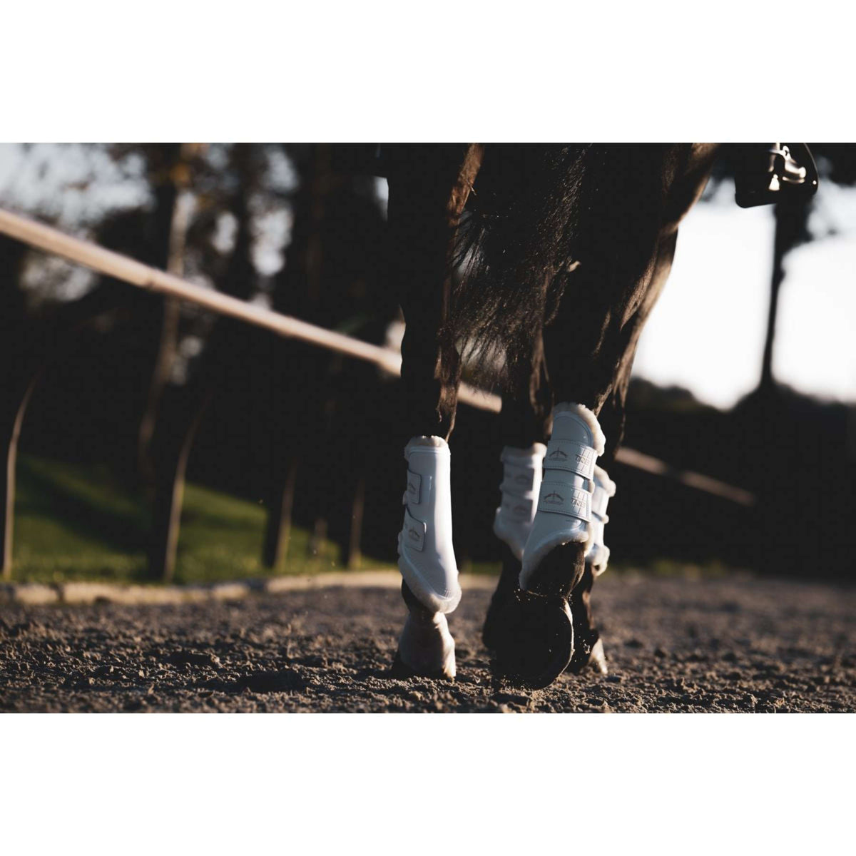 Veredus Protectores de piernas TRB Save the Sheep Rear Wit