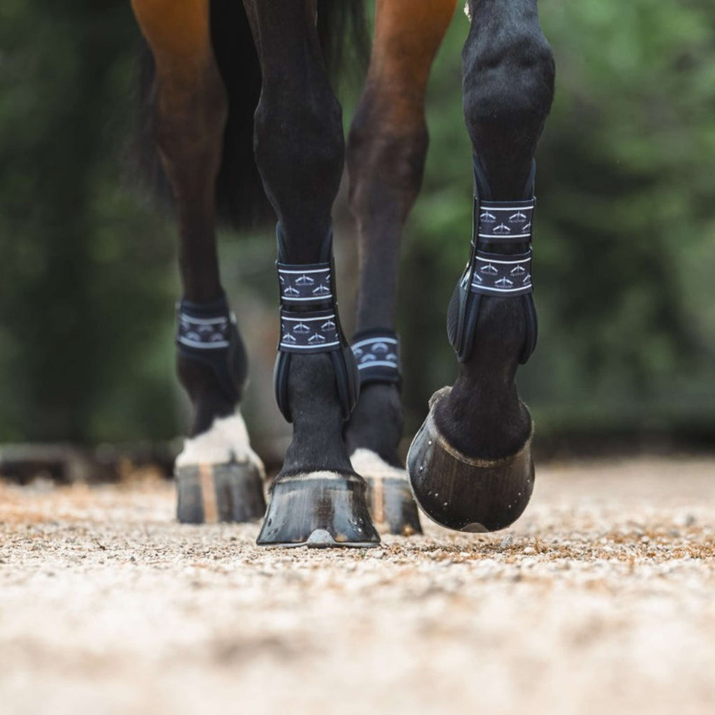 Veredus Botas para tendones TRH5 Front Negro