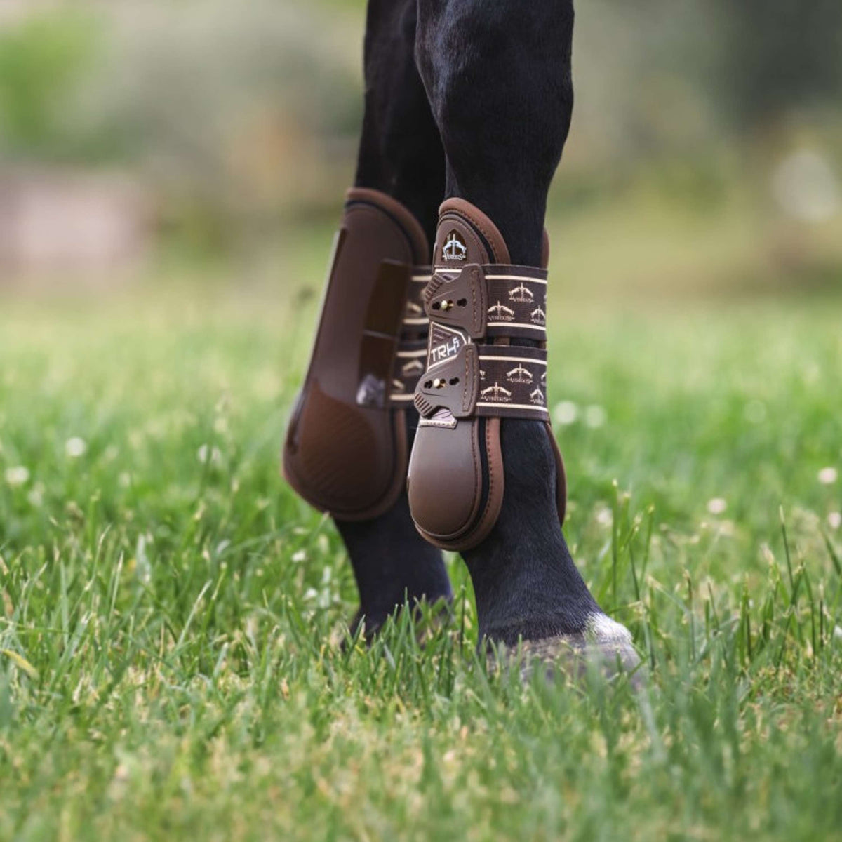 Veredus Botas para tendones TRH5 Front Marron