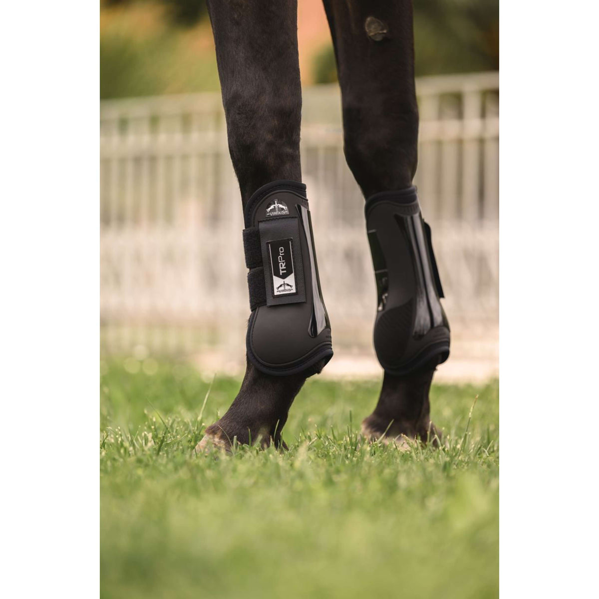 Veredus Botas para tendones TR PRO Front Negro