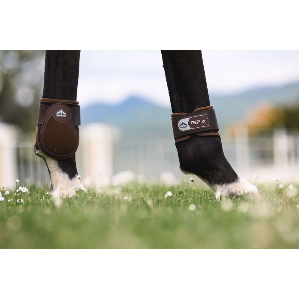 Veredus Botas de Menudillo TR PRO Rear Marron