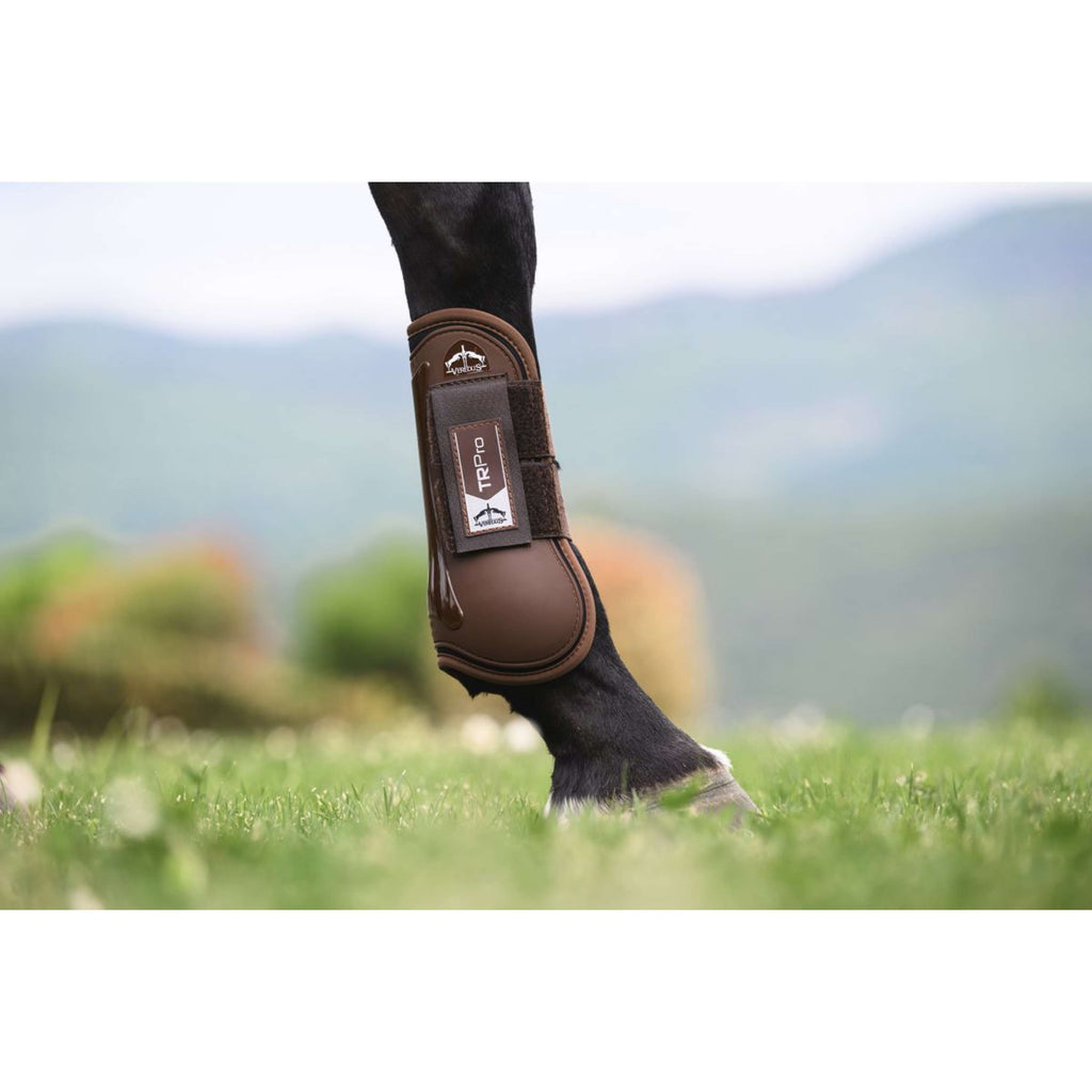 Veredus Botas para tendones TR PRO Front Marron