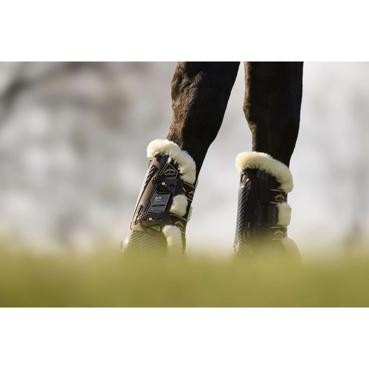 Veredus Botas para tendones Carbon Gel Absolute Save the Sheep Front Marron