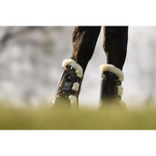 Veredus Botas para tendones Carbon Gel Absolute Save the Sheep Front Marron