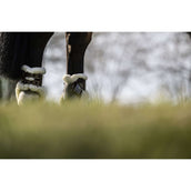 Veredus Botas protectoras de menudillo Carbon Gel Absolute Save the Sheep Rear Marron