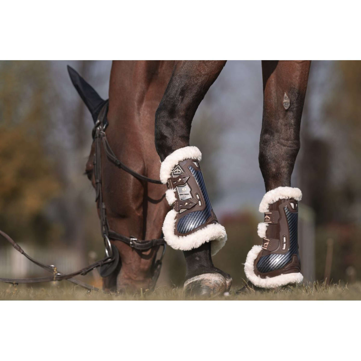 Veredus Botas para tendones Carbon Gel Absolute Save the Sheep Front Marron