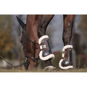 Veredus Botas para tendones Carbon Gel Absolute Save the Sheep Front Marron