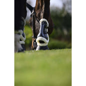 Veredus Botas para tendones Carbon Gel Absolute Save the Sheep Front Negro