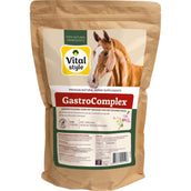 Vitalstyle Gastrocomplejo