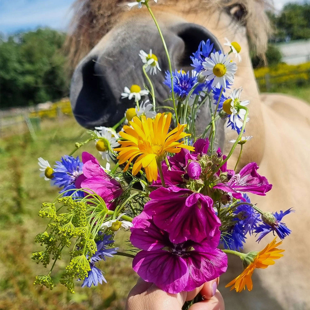 Vitalstyle Flores de Prado