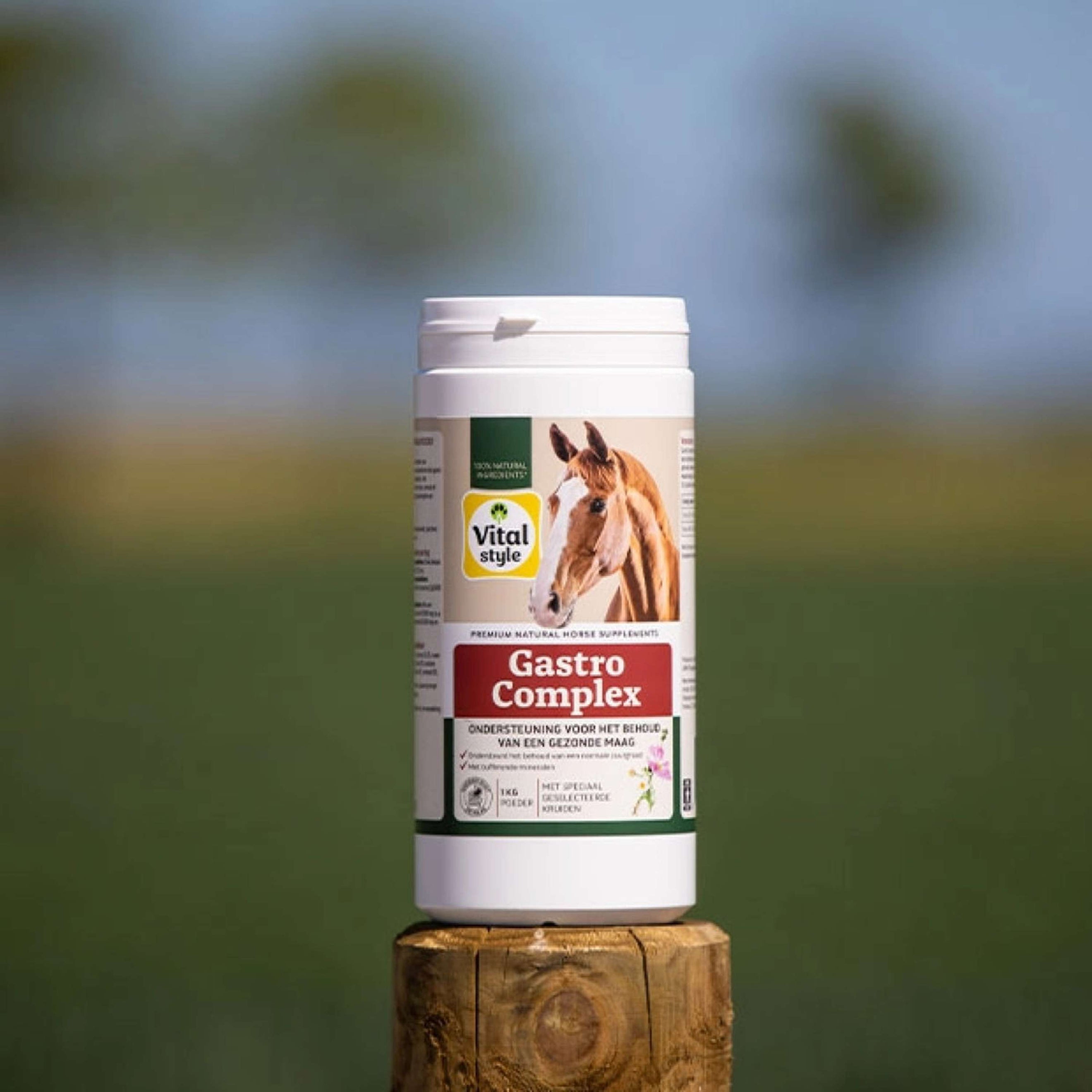 Vitalstyle GastroComplex Vitalstyle GastroComplex