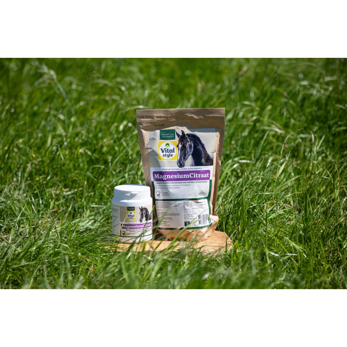 Vitalstyle Citrato de Magnesio