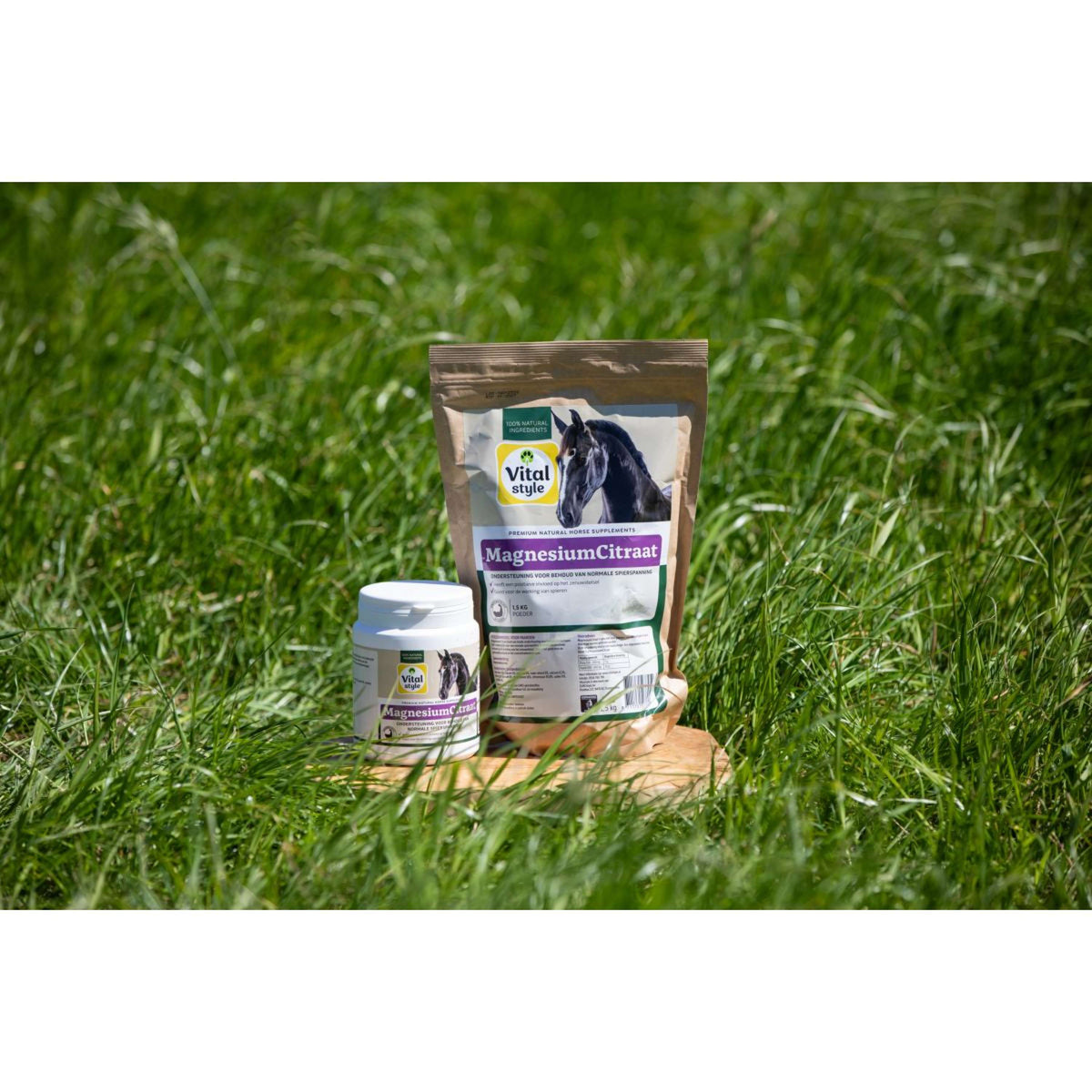 Vitalstyle Citrato de Magnesio