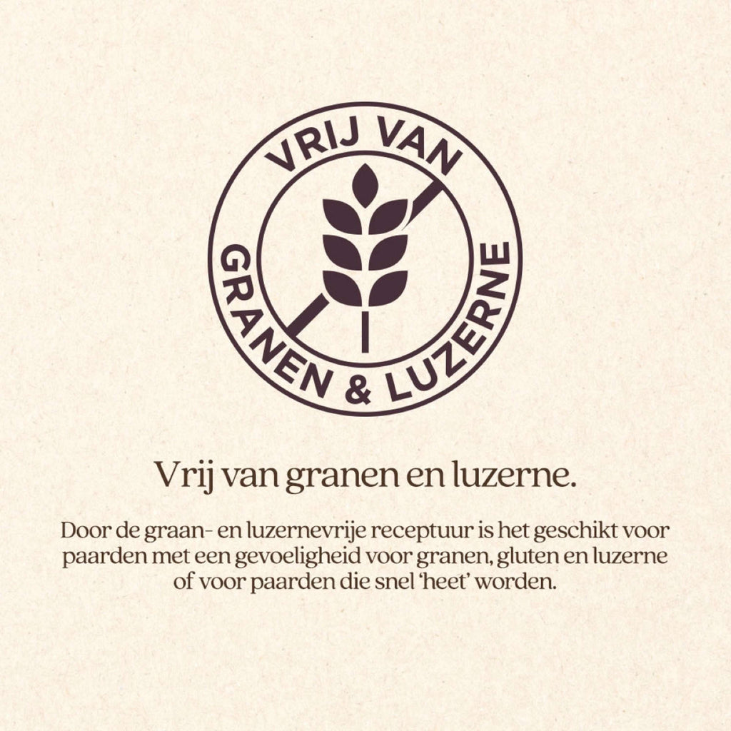 Vitalstyle Grass & Fiber Haycobs